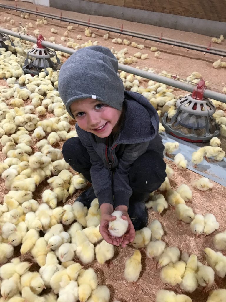 Eliah-and-Baby-chicks-768x1024
