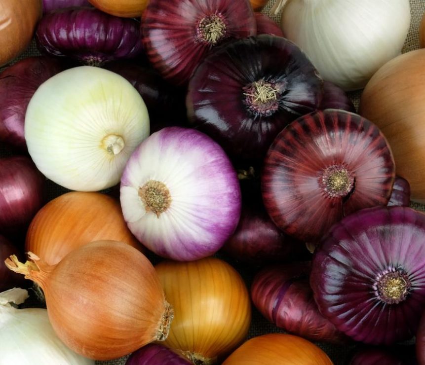 red-and-white-onions